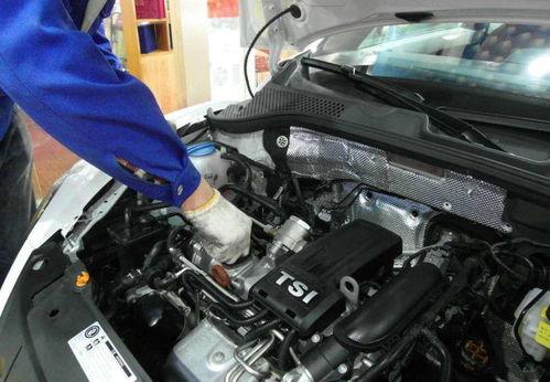 成人机油保养视频大全,视频大全解析